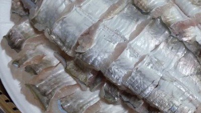 놓치면 후회! 득템 갯장어하모 솔직 후기 😋
