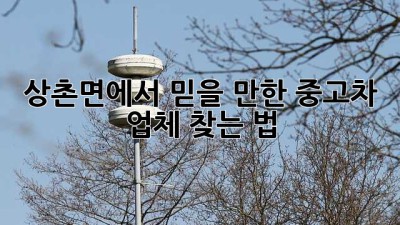 상촌면에서 믿을 만한 중고차 업체 찾는 법 🚗💨